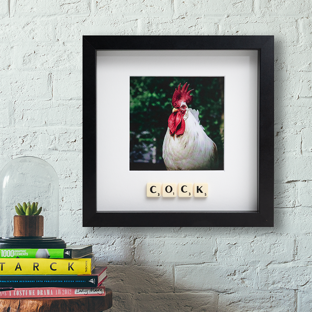 COCK