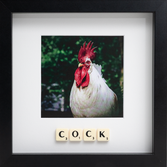 COCK