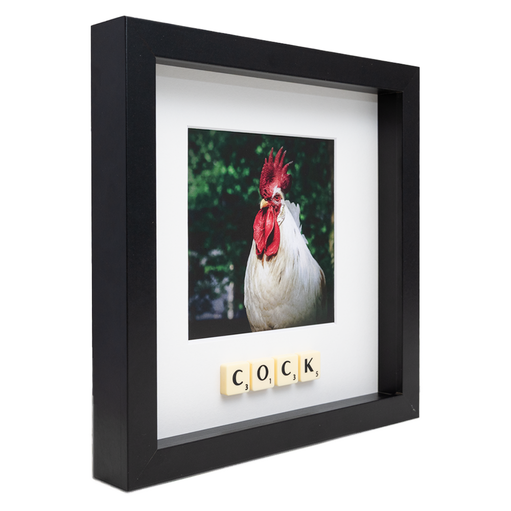 COCK